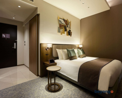 Hotel The Celestine Ginza 41