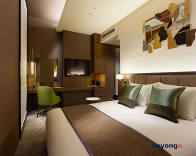 Hotel The Celestine Ginza 42