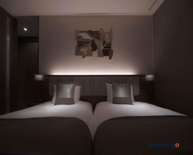 Hotel The Celestine Ginza 43