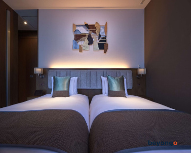 Hotel The Celestine Ginza 44