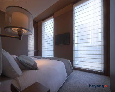 Hotel The Celestine Ginza 46