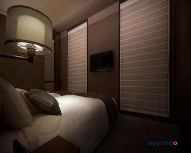Hotel The Celestine Ginza 47