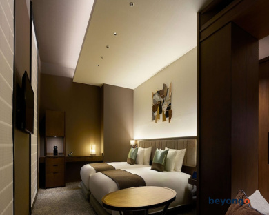 Hotel The Celestine Ginza 48