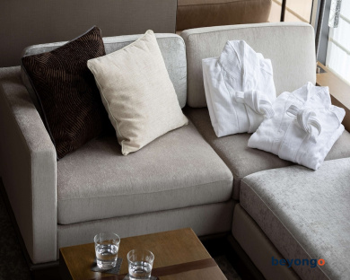 Hotel The Celestine Ginza 49