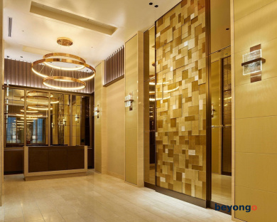 Hotel The Celestine Ginza 5