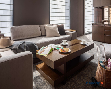 Hotel The Celestine Ginza 50
