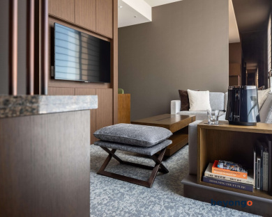 Hotel The Celestine Ginza 51