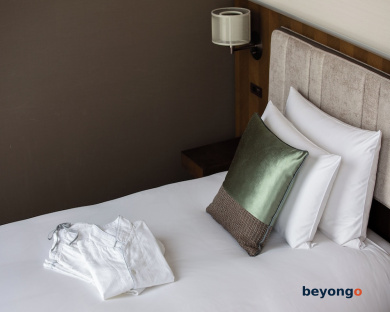 Hotel The Celestine Ginza 57