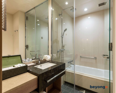 Hotel The Celestine Ginza 62