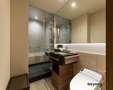 Hotel The Celestine Ginza 63
