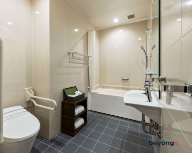 Hotel The Celestine Ginza 64
