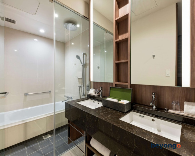 Hotel The Celestine Ginza 65