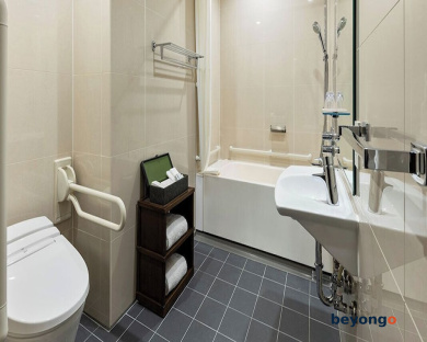 Hotel The Celestine Ginza 68