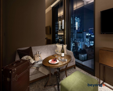 Hotel The Celestine Ginza 69