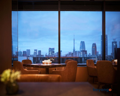 Hotel The Celestine Ginza 72