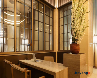Hotel The Celestine Ginza 8
