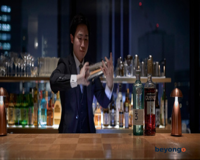Hotel The Celestine Ginza 86