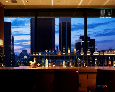 Hotel The Celestine Ginza 87