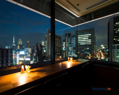Hotel The Celestine Ginza 88