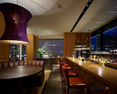 Hotel The Celestine Ginza 89