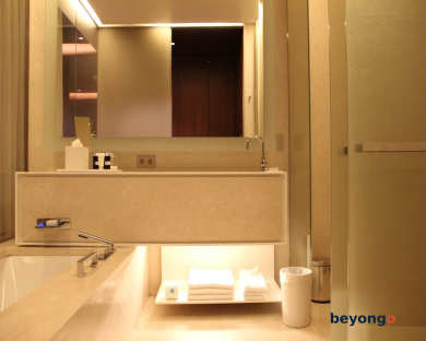 Hyatt Centric Levent Istanbul 58