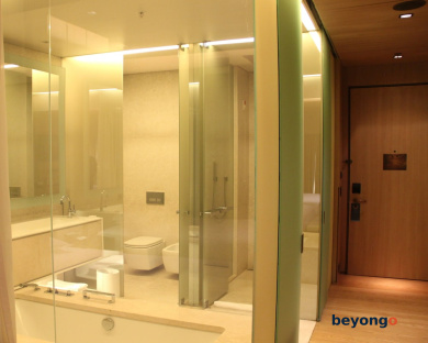 Hyatt Centric Levent Istanbul 59