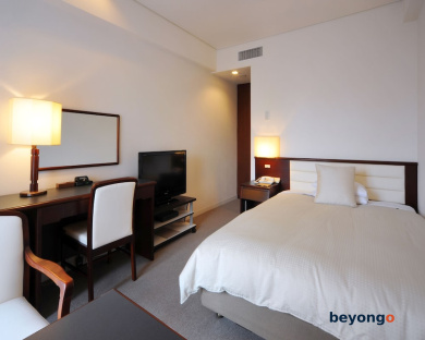Kyoto Tokyu Hotel 20