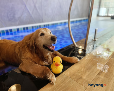 La Miniera Pool Villas Pattaya - Small Luxury Hotels of the World 47