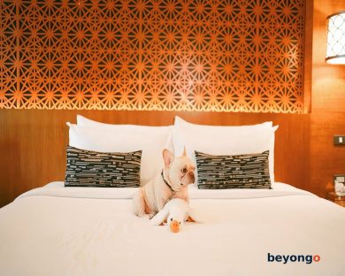 La Miniera Pool Villas Pattaya - Small Luxury Hotels of the World 54