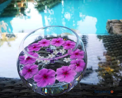 Le Prive Resort 55