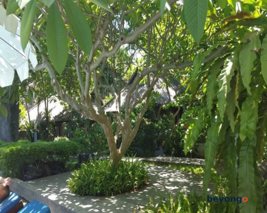 Let's Hyde Pattaya Resort and Villas 1