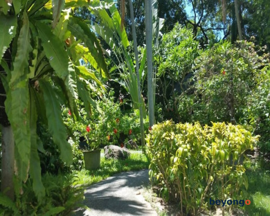 Let's Hyde Pattaya Resort and Villas 2