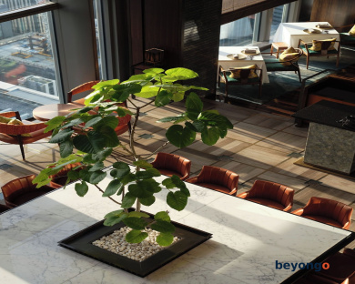 Mandarin Oriental, Tokyo 131