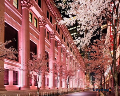 Mandarin Oriental, Tokyo 147