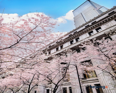 Mandarin Oriental, Tokyo 5