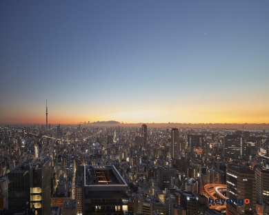 Mandarin Oriental, Tokyo 84