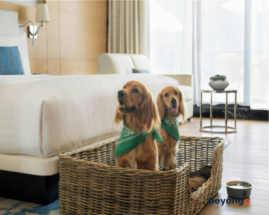 Marriott Resort Palm Jumeirah, Dubai 147