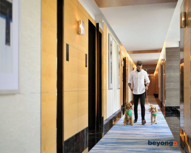 Marriott Resort Palm Jumeirah, Dubai 313