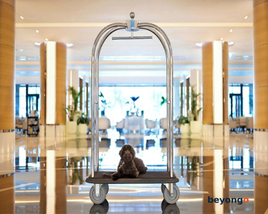 Marriott Resort Palm Jumeirah, Dubai 315