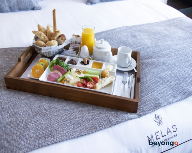 Melas Hotel Istanbul 87