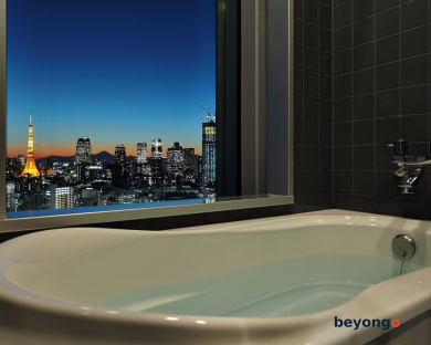 Mitsui Garden Hotel Ginza Premier 47