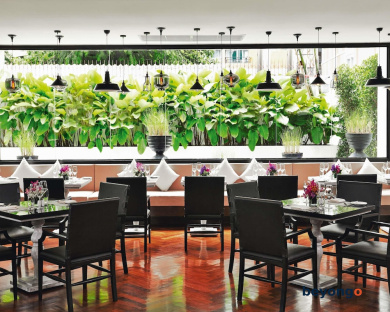 Mövenpick Hotel Sukhumvit 15 Bangkok 111