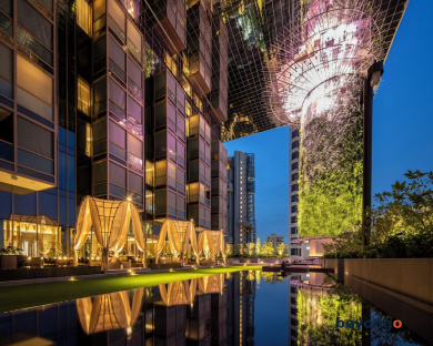 Pan Pacific Orchard 73
