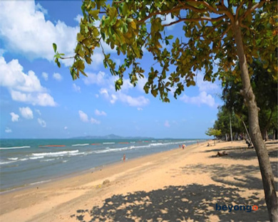 Rabbit Resort Pattaya 18