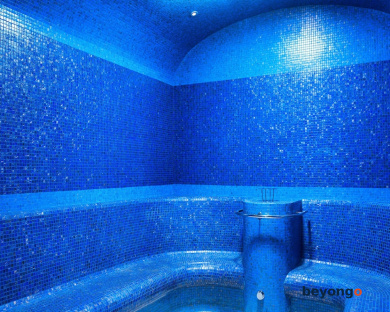 Radisson Blu Bosphorus Hotel, Istanbul 24