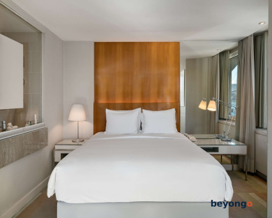 Radisson Blu Bosphorus Hotel, Istanbul 29