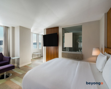 Radisson Blu Bosphorus Hotel, Istanbul 44