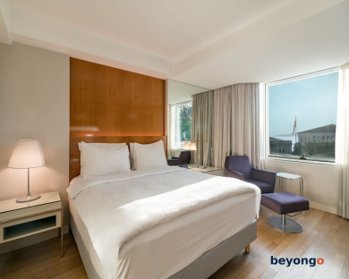 Radisson Blu Bosphorus Hotel, Istanbul 47