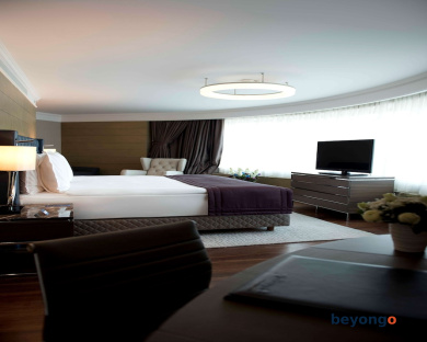 Radisson Blu Hotel, Istanbul Sisli 28