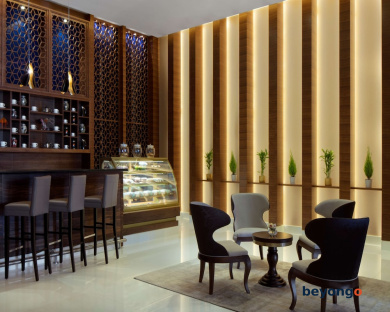 Radisson Blu Hotel Dubai Waterfront 113
